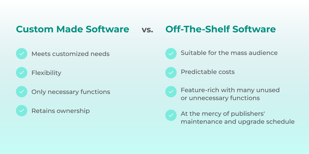 Key Benefits of Custom Software Development Bintime